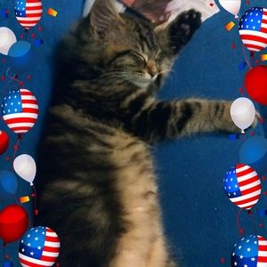 Meet your Posher, Jerri